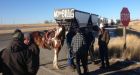 Report shows PCs knew farm worker insurance needed