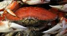 Pair fined for tearing legs off crabs, throwing bodies back into ocean in White Rock, B.C.