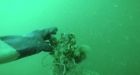 Archeologist finds sunken German submarine from WWI