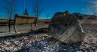 That rock Calgary drivers kept hitting has found a new home where it can be appreciated forever