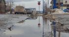 It's a week of weird, warm weather in Whitehorse