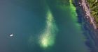 Blooming marvellous: drones give B.C. researchers new view of 'enormous' jellyfish clusters