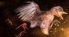Scientists find baby bird trapped in 99-million-year-old amber