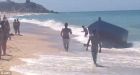 Astonishing moment dozens of migrants land on packed Spanish beach
