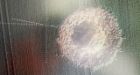 Unexploded WWII bomb suddenly detonates in German field | CTV News