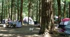 1 dead, 2 stabbed in campground fight at Cultus Lake