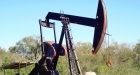HL:man drilling for oil in backyard