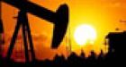 Oil price defies swelling supplies
