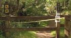DNA samples may explain severed feet mystery