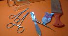 Circumcision protects against 2 common sexually transmitted diseases: studies