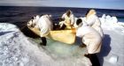 Inuit whalers in northern Quebec want Ottawa to reopen the minke whale hunt