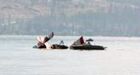 Plane fighting wildfire crashes into Okanagan Lake