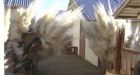 Canada to stage mock Afghan attack in Washington