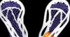 Mann Cup: Bench-clearing brawl
