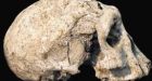 A skull that rewrites the history of man