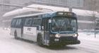 Calgary Transit staff caught moonlighting