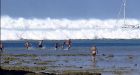 Chile tsunami hits New Zealand islands