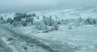 Ice damage slows N.L. power cleanup