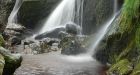 Warming 'destabilises aquatic ecosystems'