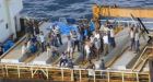 Tamil refugees still going home for holidays