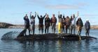 Iqaluit awarded bowhead whale hunt