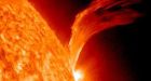 Solar flares on dwarf stars could threaten alien life