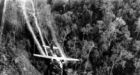 Agent Orange 'widely used' in Ont.
