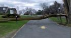 Fierce winds blamed for injuries across Ottawa