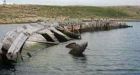 Norwegian group seeks Amundsen's ship from Canada