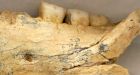 Canadian scientists unearth 500,000-year-old jawbone