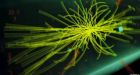 Cosmos may be 'inherently unstable'