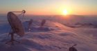 Muzzling' of Canadian government scientists sent before Information Commissioner