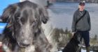 SUV driver hits dog, refuses to take dying animal to vet