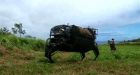 Military tests robotic mule