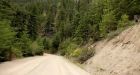 B.C. man killed trying to stop vehicle from sliding over bank