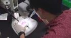 Columbia Researchers Close to Possible Breakthrough in Diabetes Treatment
