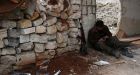Hackers posing as beautiful women steal secrets from Syrian rebels