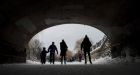 Rideau Canal record broken at 47 consecutive skating days