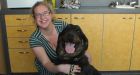 Alberta dog found in Manitoba, missing more than 6 months