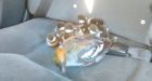 Calgary ducklings get ride to safety from cab driver