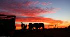 Sir Sidney Kidman puts Anna Creek, world's largest property, on sale