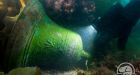 Franklin expedition, exploration gets cross-Canada exhibit