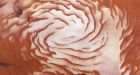 Mars at tail-end of ice age that would have seen red planet covered in ice