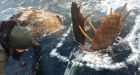 2 moose found frozen mid-fight near remote Alaska village